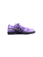 Nike SB Dunk Low Concepts Purple Lobster