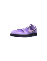 Nike SB Dunk Low Concepts Purple Lobster